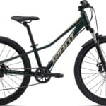 Giant Talon 24" Disc 2024 - Grøn