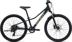 Giant Talon 24" Disc 2024 – Grøn