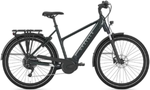 Gazelle Medeo T10 HMB Dame  2024 – Pine Greengloss