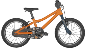 Scott Roxter 16 2024 – Orange