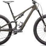 Specialized Stumpjumper 15 Expert 2025 - Grå