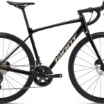 Giant Contend AR 1 2025 - Sort