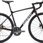 Giant Contend AR 2 2025 - Cordovan