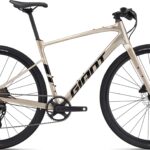 Giant FastRoad AR 1 2025 - Brun
