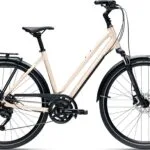 Giant Liv Allure RS 2 2025 - Brun