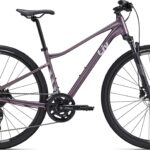 Giant Liv Rove DD 1 2025 - Lilla