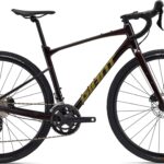 Giant Revolt 1 2025 - Cordovan