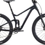 Giant Stance 29 1 2025 - Sort