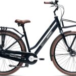 Giant Triple X 1 LDS 2025 - Sort