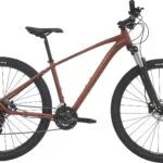 Centurion Violator MTB 29" 21g - Brun