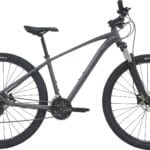 Centurion Violator MTB 29" 21g - Grå