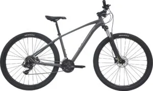 Centurion Violator MTB 29" 21g – Grå