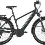 Gazelle Medeo T10 HMB Dame 2025 - Pine Greengloss