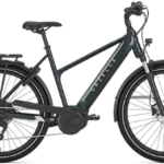 Gazelle Medeo T10 HMB Dame 2025 - Pine Greengloss