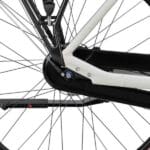 Bagnav på Batavus Altura E-go Plus