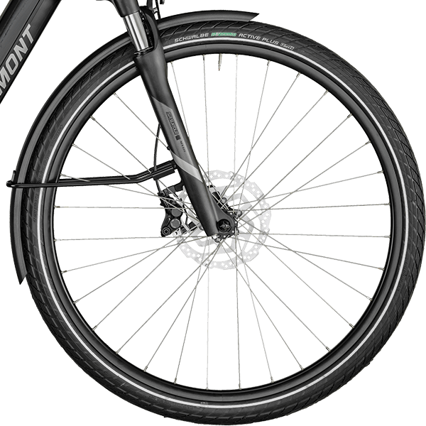 front hub på Bergamont E-Horizon Expert Amsterdam