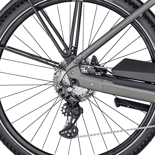 Bagnav på Bergamont E-Horizon Premium SUV Amsterdam