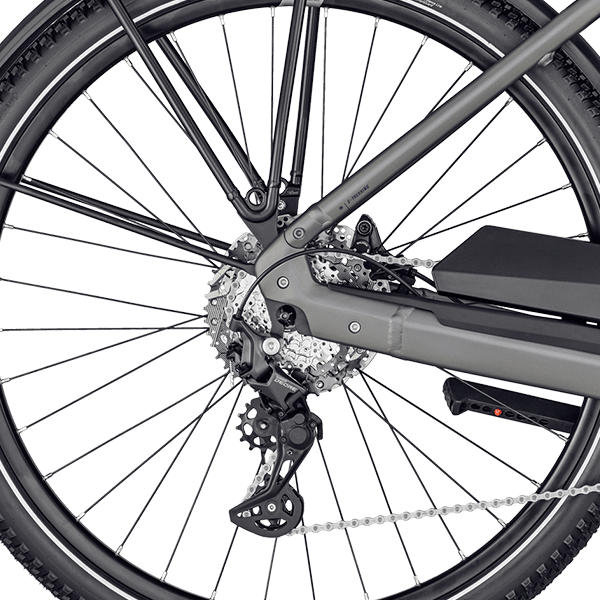 Bagnav på Bergamont E-Horizon Premium SUV Amsterdam
