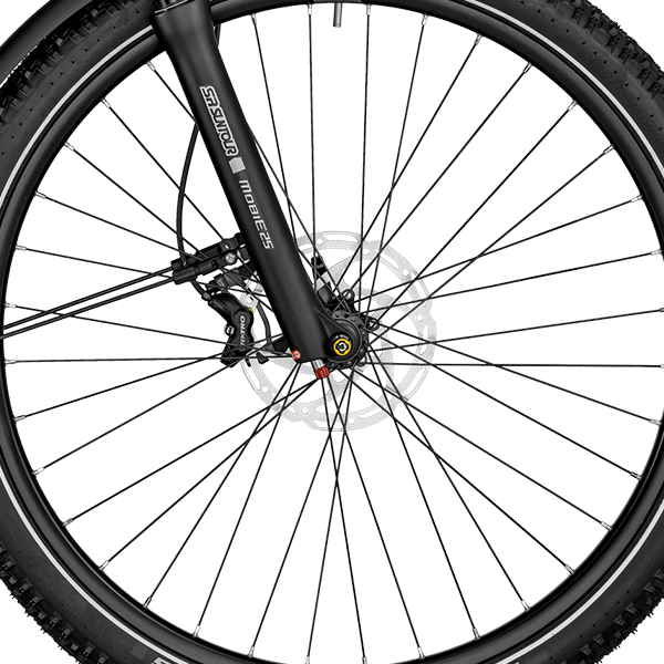 front hub på Bergamont E-Horizon SUV 6 Amsterdam