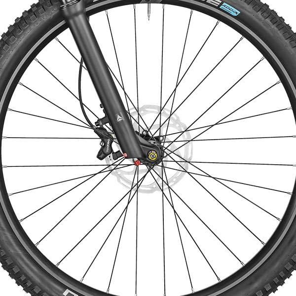 front hub på Bergamont E-Revox Expert