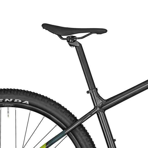 Sadel på Bergamont Revox 2