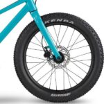 front hub på BMC Twostroke AL 20