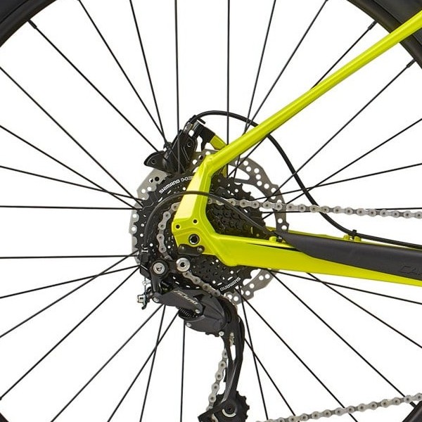 Bagnav på Cannondale 29 Trail Neo 4