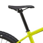 Sadel på Cannondale 29 Trail Neo 4