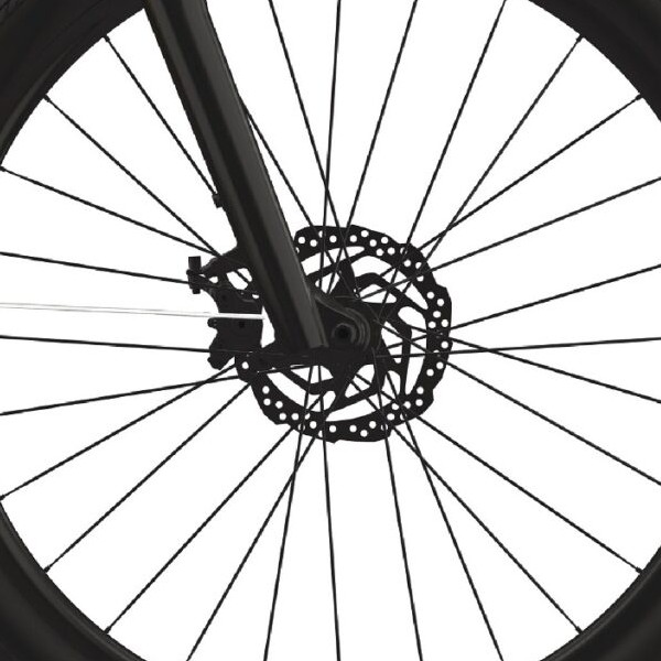 front hub på Cannondale Adventure EQ