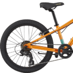 Bagnav på Cannondale Kids Cujo