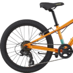 Bagnav på Cannondale Kids Cujo