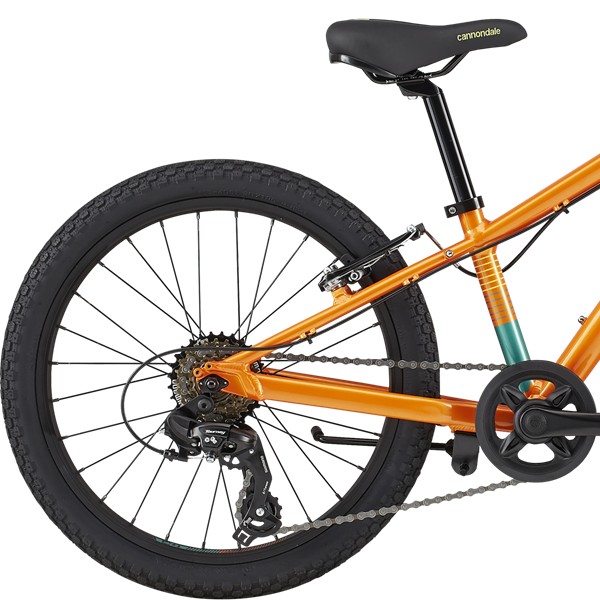 Bagnav på Cannondale Kids Cujo
