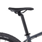 Sadel på Cannondale Trail 6 29