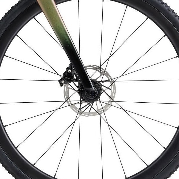 front hub på Giant Liv Brava Advanced Pro 1