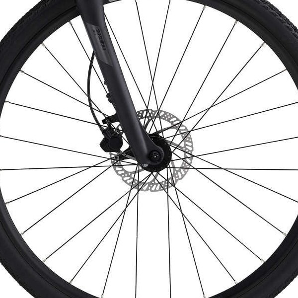front hub på Giant Liv Rove 3 DD