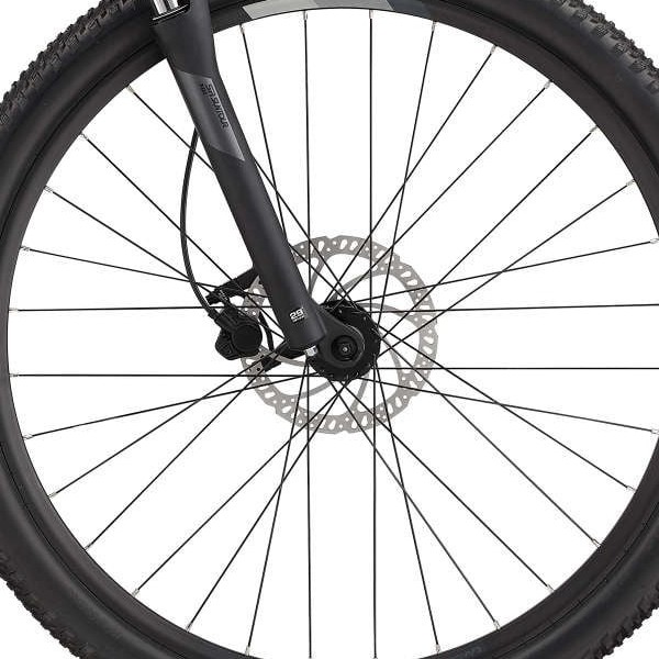 front hub på Giant Liv Tempt 3