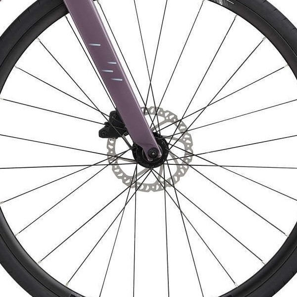 front hub på Giant Liv Thrive 2