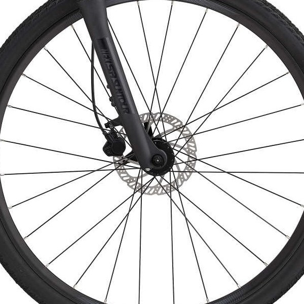front hub på Giant Roam 2