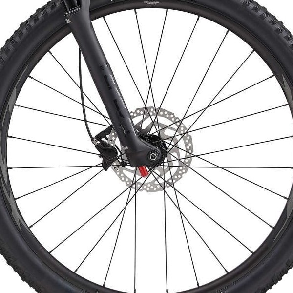 front hub på Giant Stance 29 1