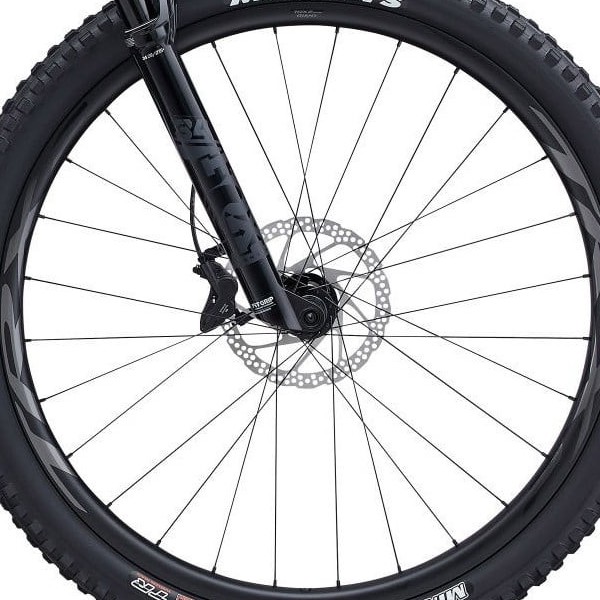 front hub på Giant Trance Advanced 29 2