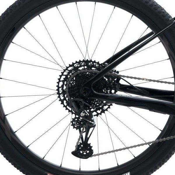 Bagnav på Giant XTC Advanced 29 1.5