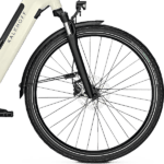 front hub på Kalkhoff IMAGE 3.B MOVE BLX 500wh
