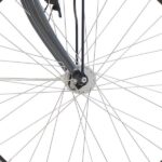 front hub på Raleigh Shopping Alu