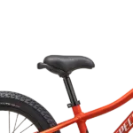Sadel på Specialized Riprock Coaster