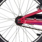Bagnav på Specialized Riprock Coaster 20