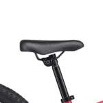 Sadel på Specialized Riprock Coaster 20