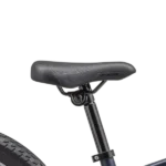 Sadel på Specialized Riprock Coaster 20