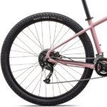 Bagnav på Specialized Rockhopper Sport 29