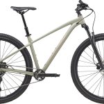 Cannondale Trail 1 29" 2025 - Grå