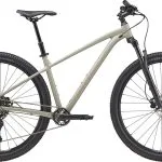 Cannondale Trail 1 29" 2025 - Grå